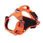 Durable Waterproof Pet Harness with Vertical Handle